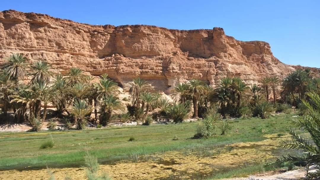 Amoudou Lodge Camp Tissint Dış mekan fotoğraf