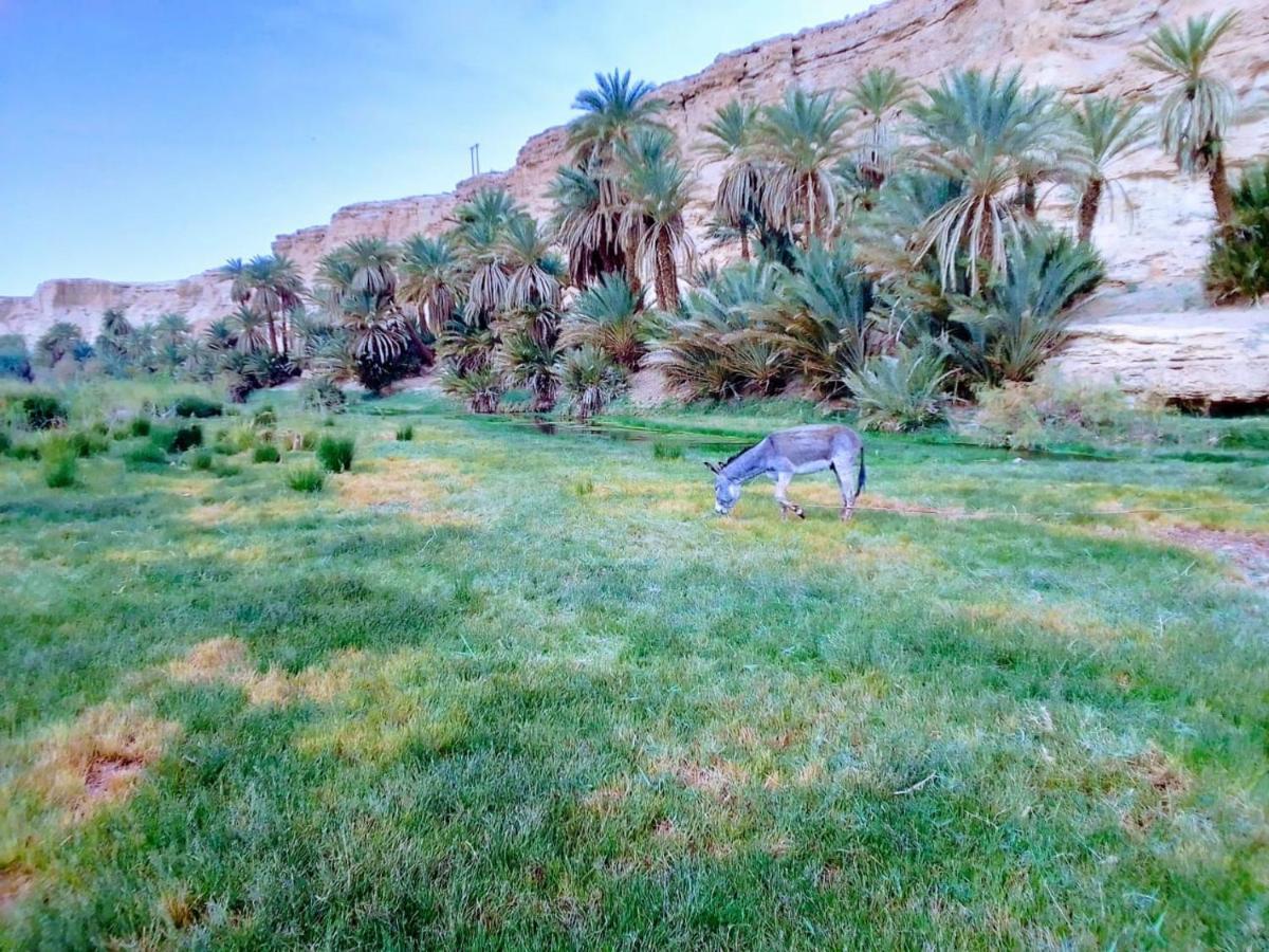 Amoudou Lodge Camp Tissint Dış mekan fotoğraf