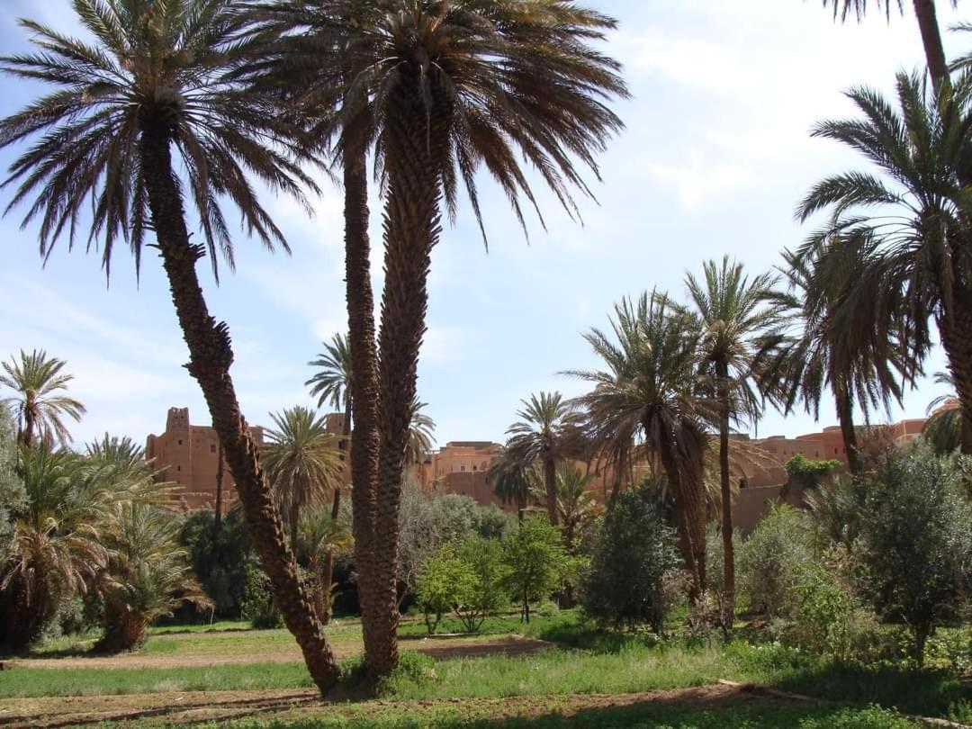 Amoudou Lodge Camp Tissint Dış mekan fotoğraf