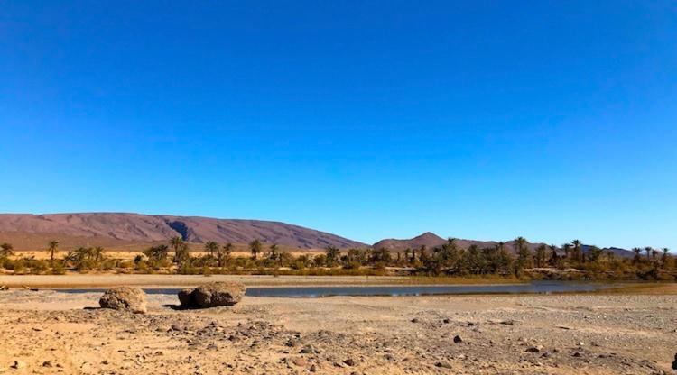 Amoudou Lodge Camp Tissint Dış mekan fotoğraf