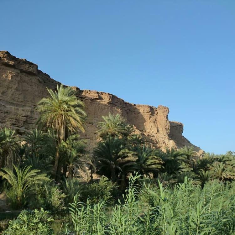 Amoudou Lodge Camp Tissint Dış mekan fotoğraf